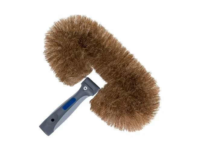 cleanclub202607202056472692444