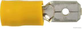 svg-dresden202607201829102679019